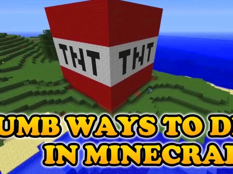 Dumbest Way to Die in&nbsp;Minecraft